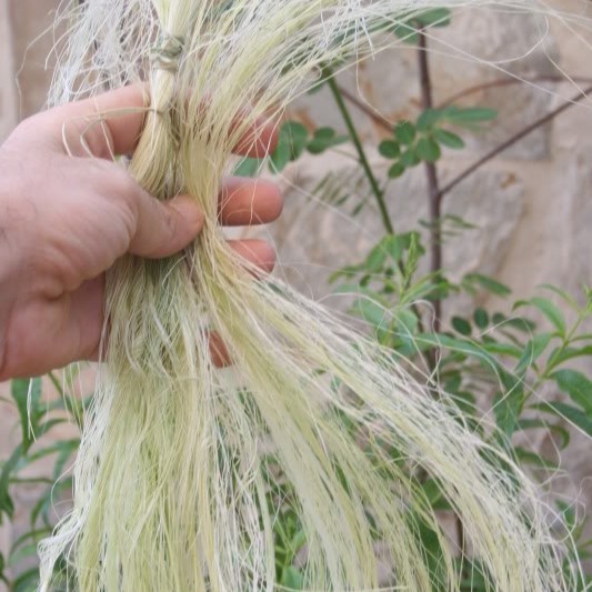 Fibra De Pita